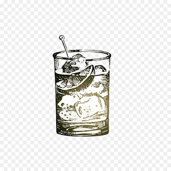 Gin and tonic Cocktail Martini Tonic water - cocktail 