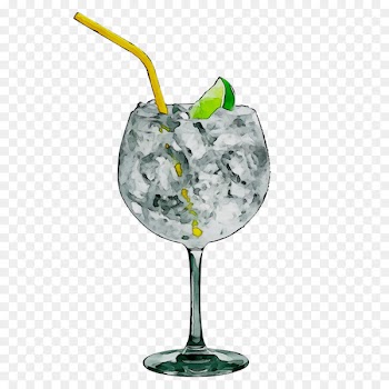Gin and tonic Vodka tonic Cocktail garnish -  
