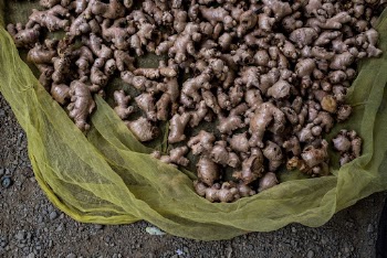 Ginger at a local market. | Free Photo - rawpixel