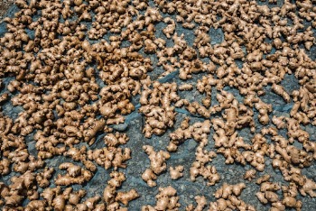 Ginger at a local market. | Free Photo - rawpixel
