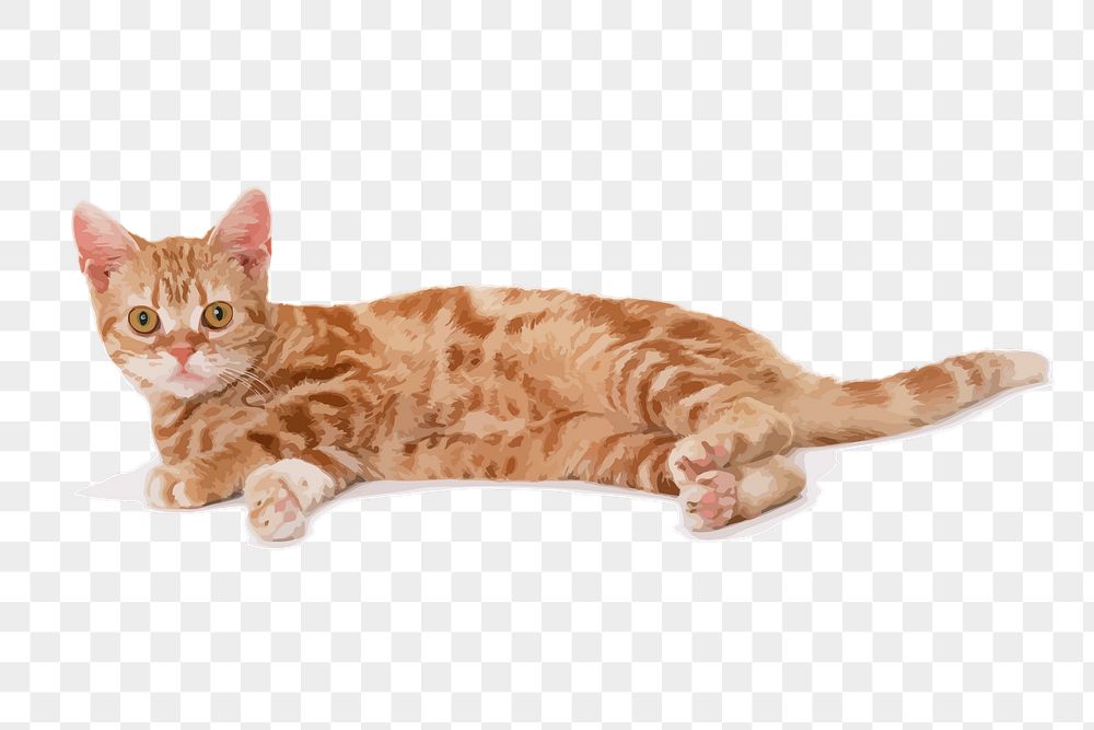 Ginger cat png sticker, animal | Free PNG - rawpixel