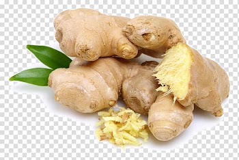 Ginger Celery Oleoresin Vegetable, ginger transparent background PNG clipart