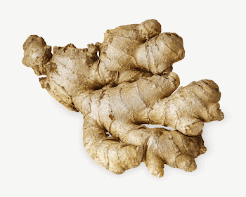 Ginger collage element, food design | Free PSD - rawpixel