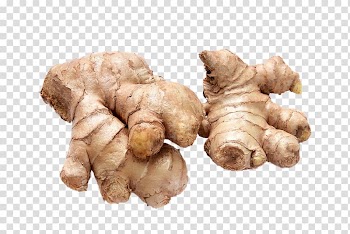Ginger Galangal Condiment Ingredient Vegetable, Ginger ingredients transparent background PNG clipart