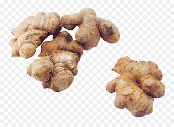 Ginger Garlic Welsh onion Condiment Spice - ginger 