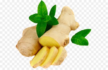 Ginger Icon Download - Ginger PNG 