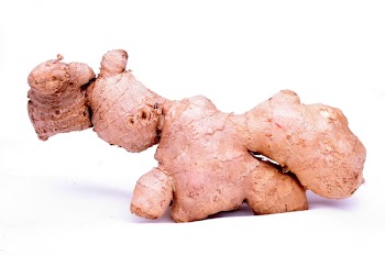 ginger.jpg