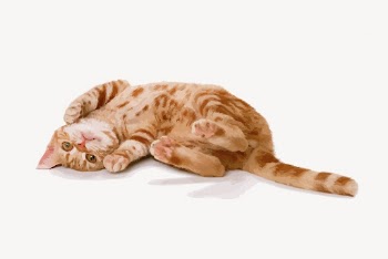 Ginger kitten clipart, animal illustration | Free Vector - rawpixel