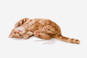 Ginger kitten clipart illustration. Free | Free Photo - rawpixel