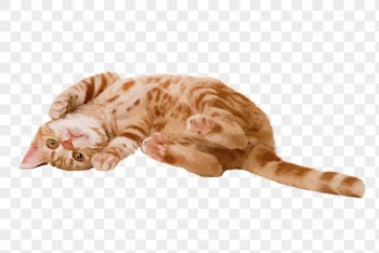 Ginger kitten png sticker illustration, | Free PNG - rawpixel