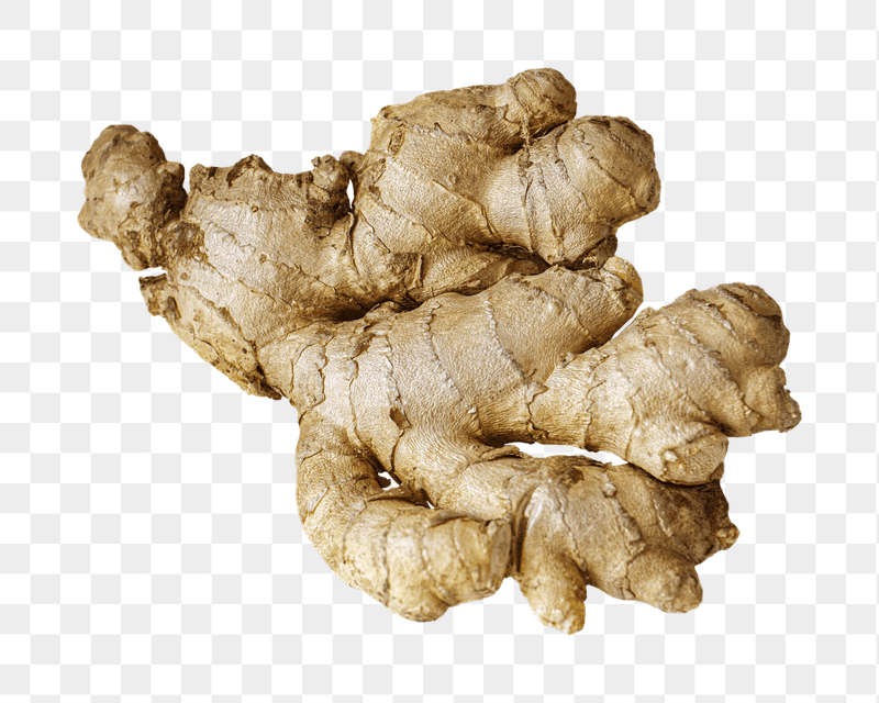 Ginger png sticker, transparent background | Free PNG - rawpixel