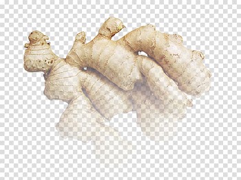 Ginger Root Vegetables, A ginger transparent background PNG clipart