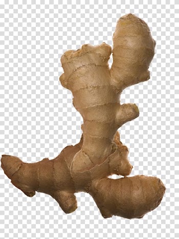 Ginger Root Vegetables Spice, Looks strange ginger transparent background PNG clipart