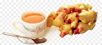 Ginger tea Breakfast Honey - Sprouting ginger tea 