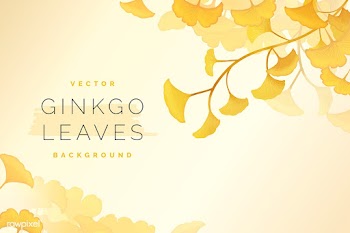 Gingko leaf background | Free stock vector - 599617