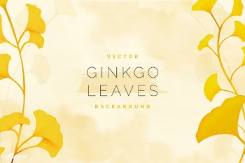 Gingko leaf background | Free stock vector - 599619