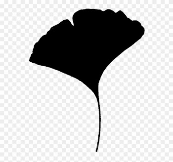 Gingko Trees - Ginkgo Leaf Silhouette