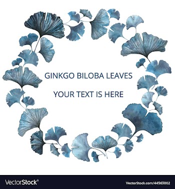 ginkgo biloba leaves background for text watercol