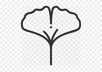 Ginkgo Icon - Maidenhair Tree