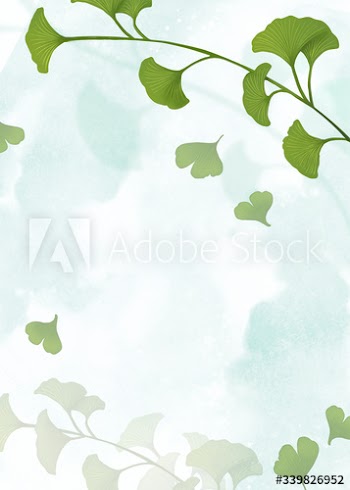 Ginkgo leaf background