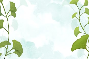 Ginkgo leaf background | Free stock illustration - 599623