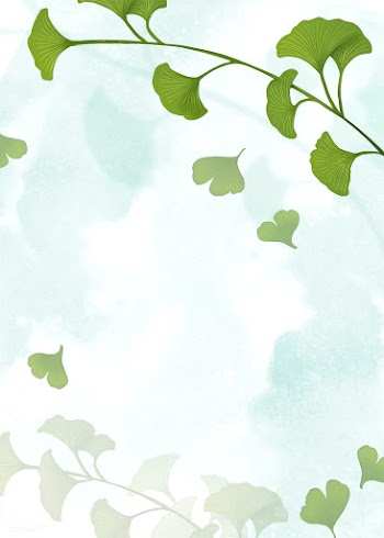 Ginkgo leaf background | Free stock illustration - 599677