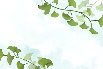 Ginkgo leaf background | Free stock illustration - 599681