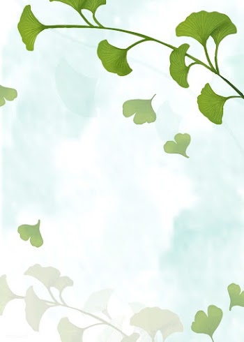 Ginkgo leaf background | Free stock vector - 599607