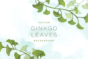 Ginkgo leaf background | Free stock vector - 599660