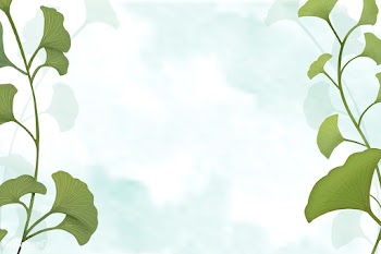 Ginkgo leaf background | Free stock vector - 599662