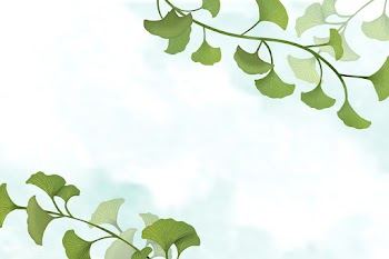 Ginkgo leaf background | Free stock vector - 599702