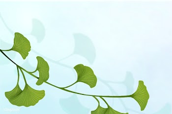 Ginkgo leaf background | Free stock vector - 599706