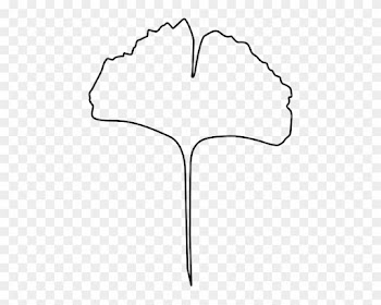 Ginkgo Leaf Clip Art