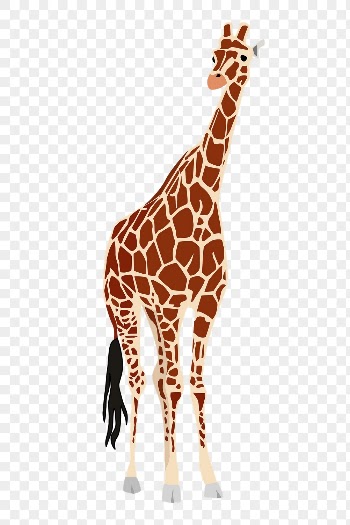 Giraffe animal png sticker illustration, | Free PNG - rawpixel