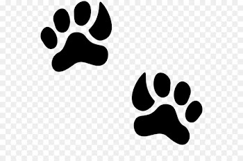 Giraffe Animal track Paw Footprint - giraffe 