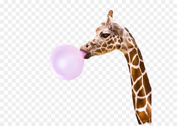 Giraffe Bubblegum Alley PopSockets Bubble gum Kudu - giraffe 