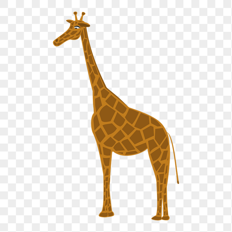 Giraffe cartoon png sticker illustration, | Free PNG - rawpixel