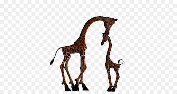 Giraffe Clip art Portable Network Graphics Image Illustration - shahid background 