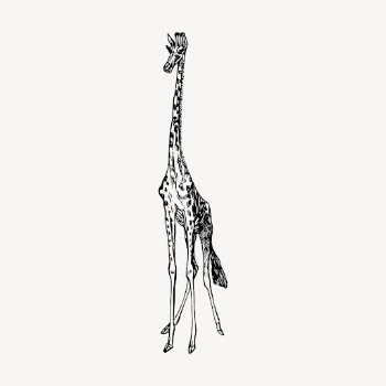 Giraffe clipart, vintage animal illustration | Free Vector - rawpixel