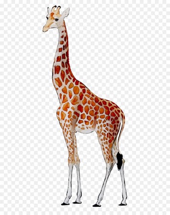 Giraffe Deer Neck Fauna Pattern -  