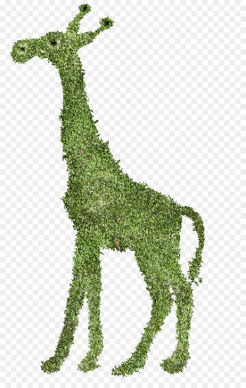Giraffe Download - Fairy giraffe 