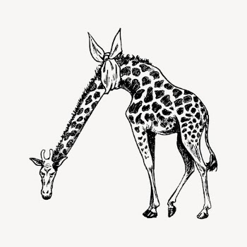Giraffe drawing, hand drawn illustration, | Free Vector - rawpixel