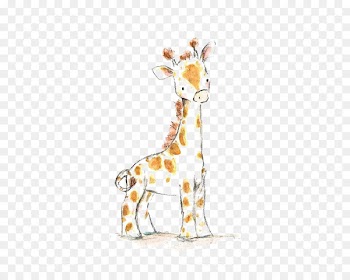 Giraffe Drawing Watercolor painting Infant Child - giraffe 