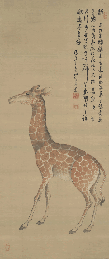 Giraffe during second half 19th | Free Photo - rawpixel