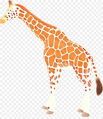 giraffe giraffidae terrestrial animal animal figure wildlife