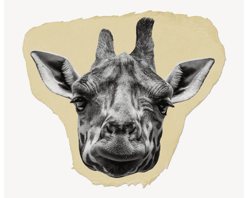 Giraffe head png ripped paper | Free PNG - rawpixel