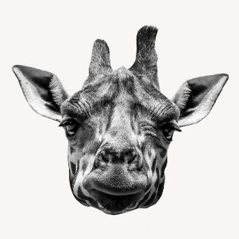 Giraffe head sticker, wild animal | Free PSD - rawpixel
