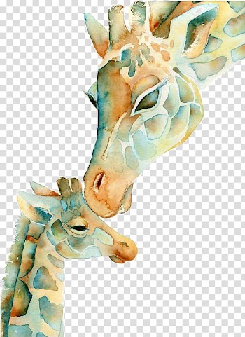 Giraffe illustration, Giraffe Watercolor painting Drawing, giraffe transparent background PNG clipart