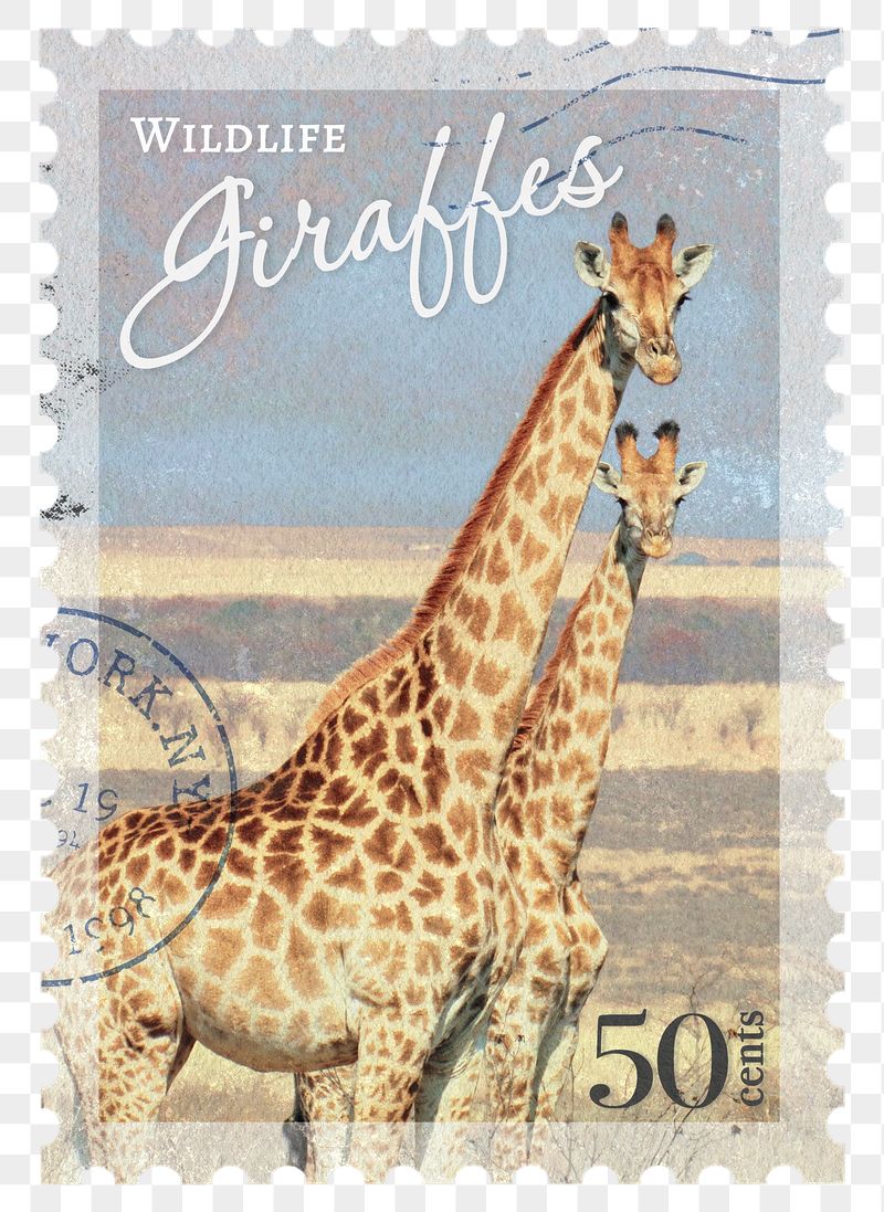 Giraffe png post stamp sticker, | Free PNG - rawpixel