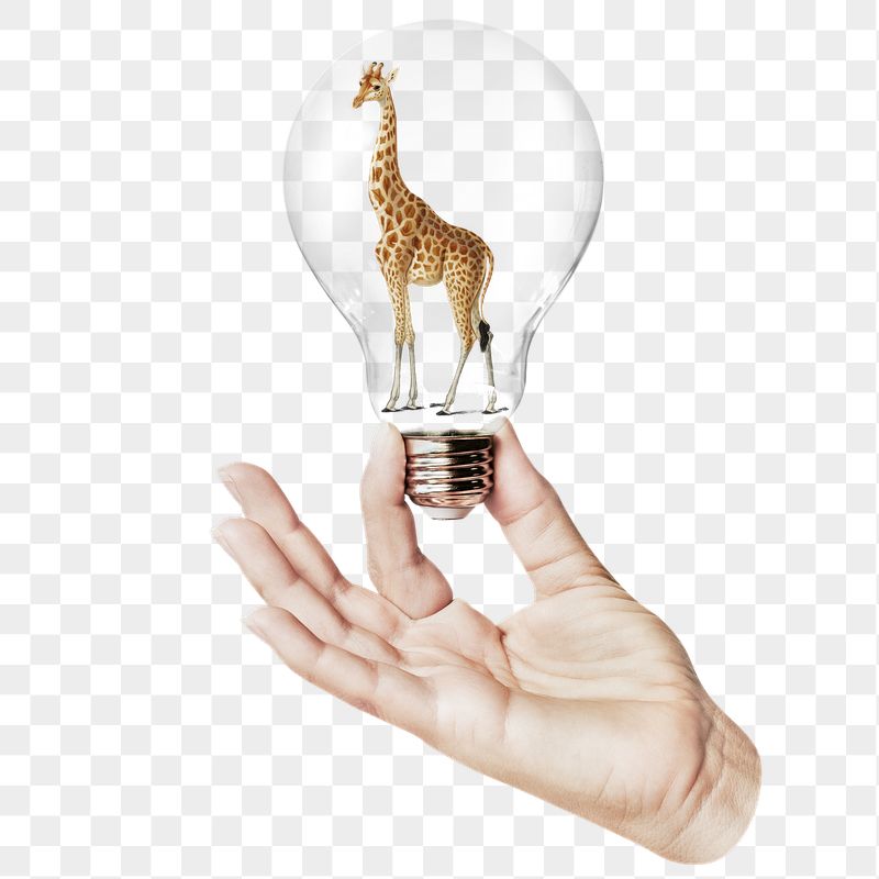 Giraffe png sticker, hand holding | Free PNG - rawpixel